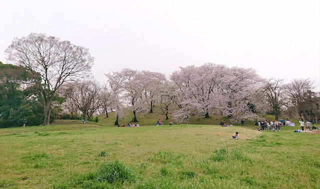 古室山古墳(藤井寺市)