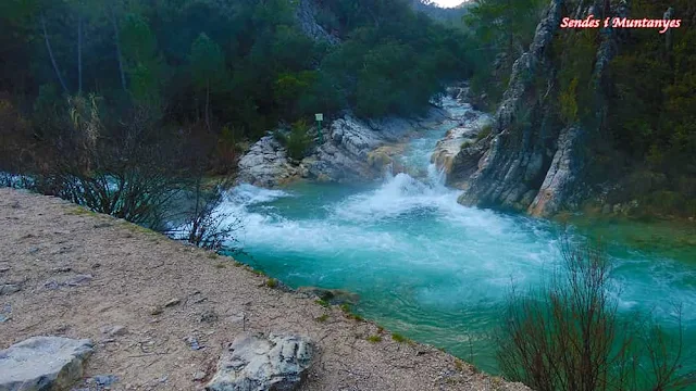 Arroyo de las Truchas, río Borosa, Pontones, Sierra de Cazorla, Jaén, Andalucía