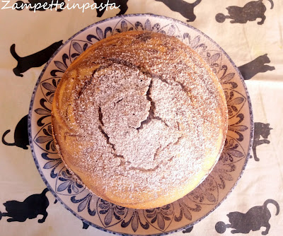 Torta con latte di cocco variegata al cacao