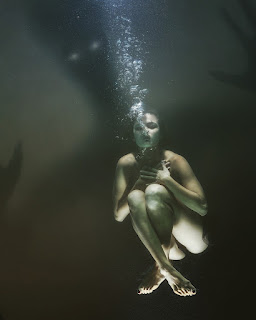 How do elite freedivers navigate the depths of the ocean on a single breath?