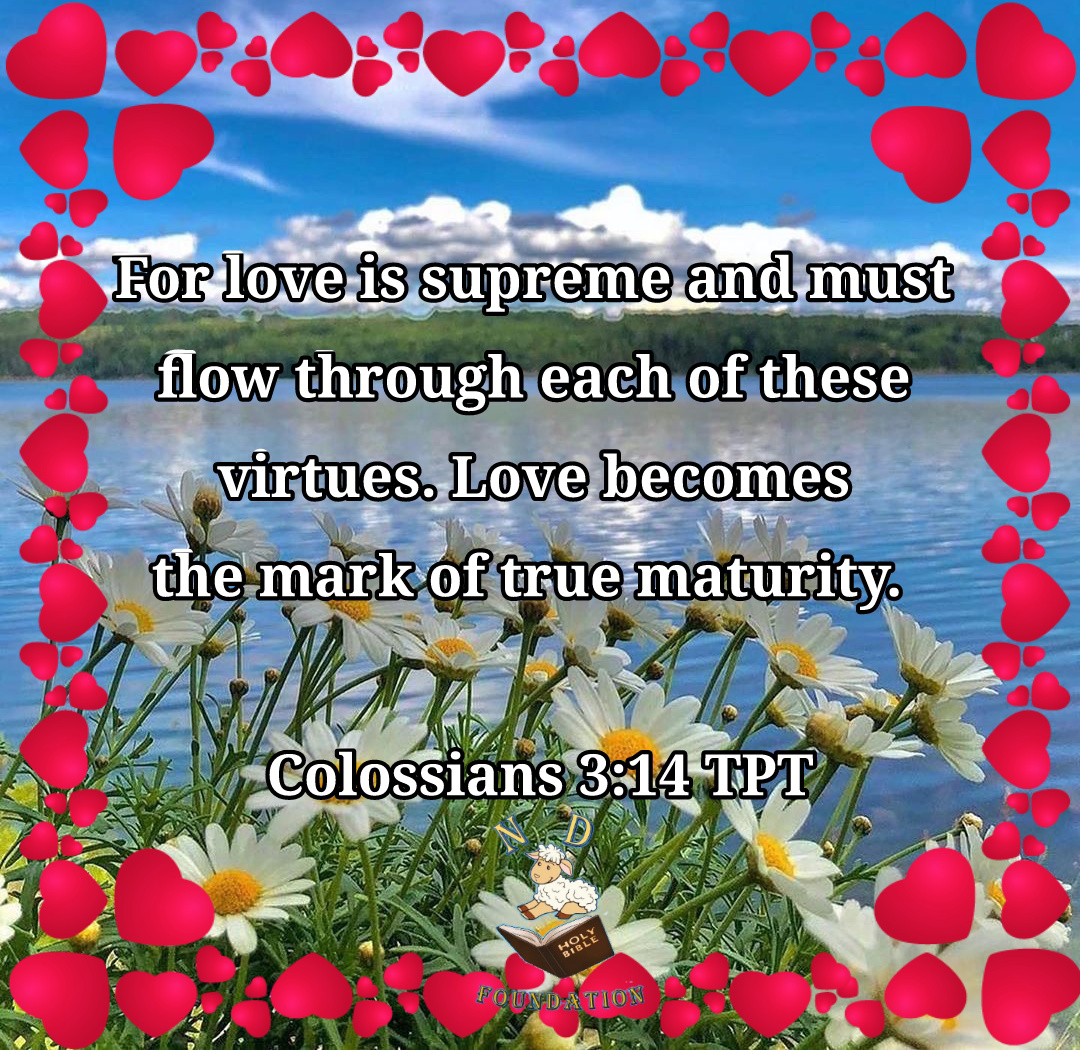 For love is supreme and must flow through each of these virtues. Love becomes the mark of true maturity. Colossians 3:14 TPT