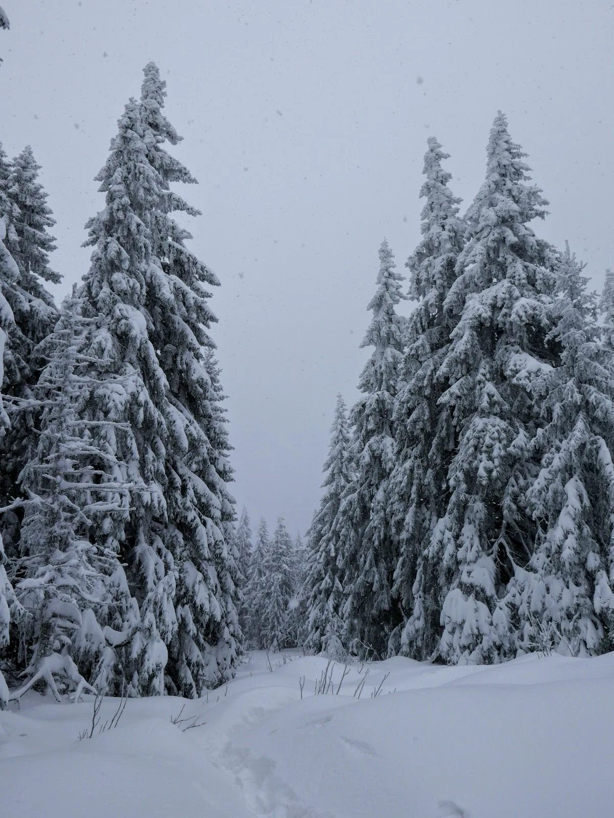 Pilsko zimą, beskid żywiecki zimą