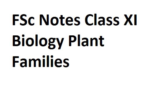 FSc Notes Class XI Biology Plant Families fscnotes0