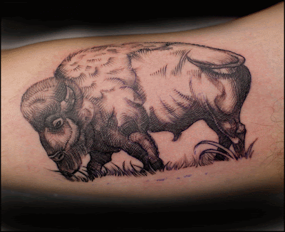 bison tattoo