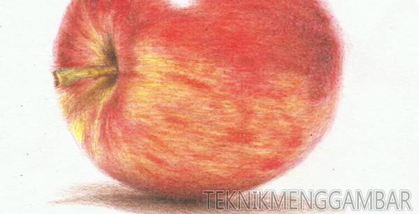Teknik Menggambar Buah Apel