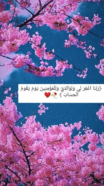 صوردينيه جميلة