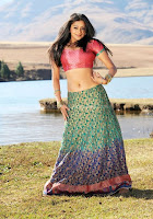 Priyamani, navel, in, skirt