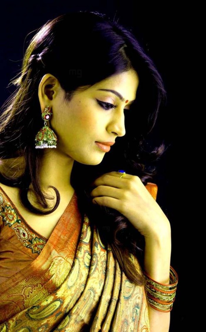 Actress Vijayalakshmi Saree 