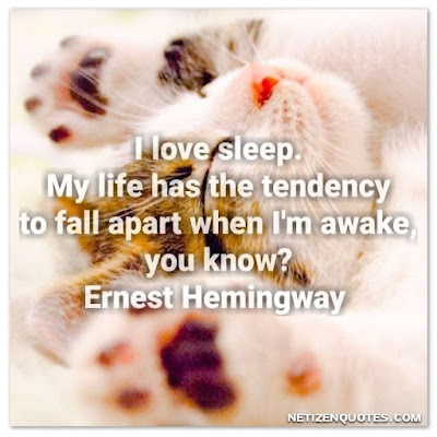 I love sleep. My life has the tendency to fall apart when I'm awake, you know? Ernest Hemingway