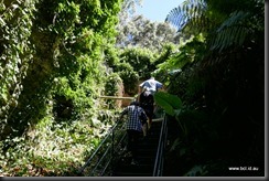 Engelbrecht Cave Mt Gambier