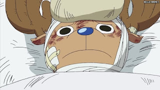 ワンピース アニメ エニエスロビー編 290話 チョッパー Tony Tony Chopper | ONE PIECE Episode 290 Enies Lobby