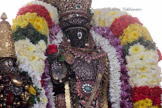 Rathasapthami,Soorya PRabhai, UTsavam,Dharisanam, Sri PArthasarathy Perumal, Perumal, Venkata Krishna , Varushotsavam, 2018, Video, Divya Prabhandam,Triplicane,Thiruvallikeni,