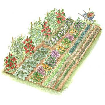 Garden layout
