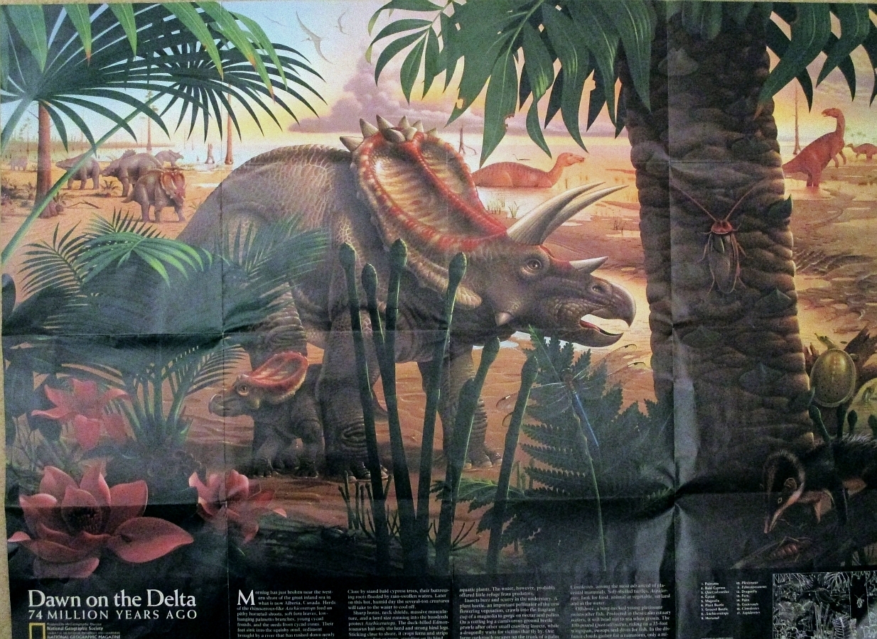 of - poster Time Art: Love National Geographic, Chasmosaurs: Dinosaur bonus! in Free January the Dinosaurs, Vintage 1993