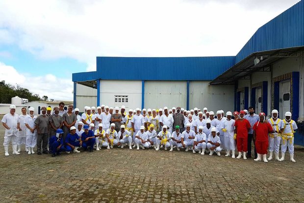 Jumentos abandonados começam a ser abatidos para consumo no interior da Bahia