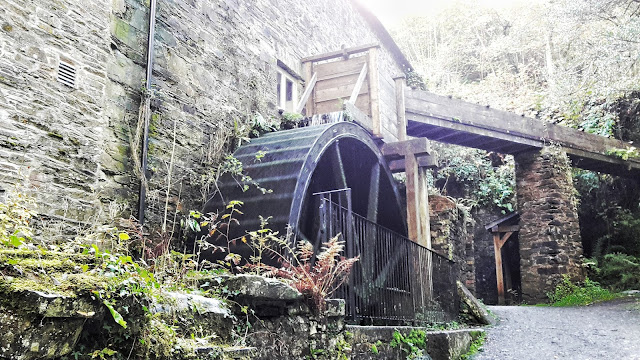 Project 366 2016 #43 day 299 - Cotehele Mill // 76sunflowers