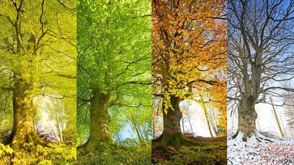 Four Seasons change during Equinox and Solstice