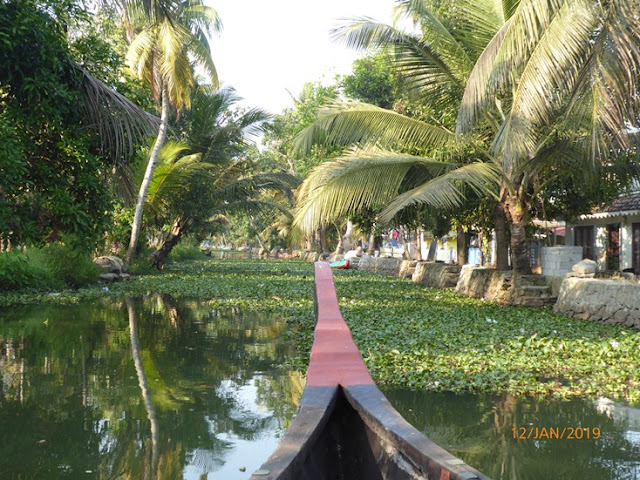 backwater kerala