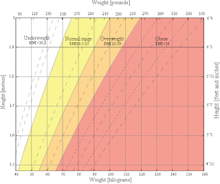 BMI calculator for adults