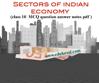 Sectors of Indian economy MCQ questions with answers notes  pdf