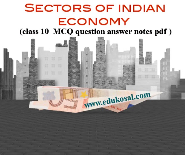 sectors of indian economy class 10 MCQ question answer notes pdf