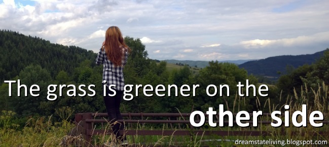 picture of a girl taking a picture over the fence as the grass is greener on the other side