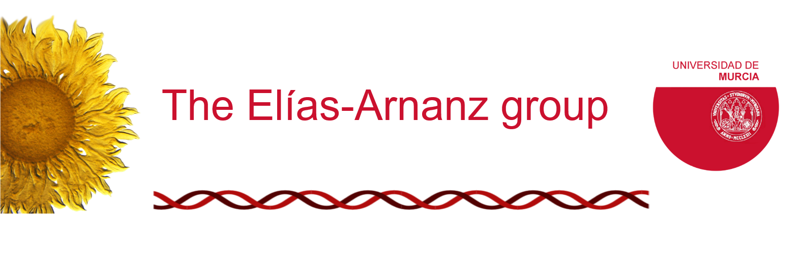 Elías-Arnanz Group