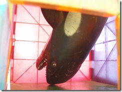 P7200025