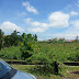 3 pcs of Adjoining Land for Sale at Permyjaya Miri