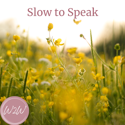 Slow to Speak #anger #control #harshwords #fighting