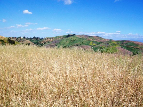 Turnbull Canyon Road. Hike 56: Turnbull Canyon amp;