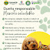 AYUNTAMIENTO DE HUAMANTLA FOMENTA LA TENENCIA RESPONSABLE DE MASCOTAS