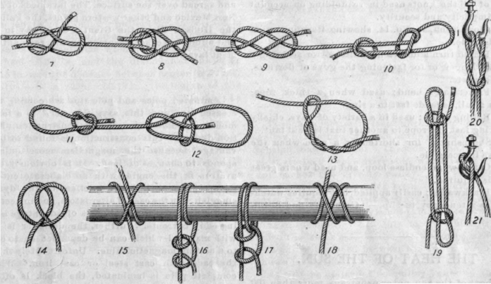 Basic Scout knots and hitches