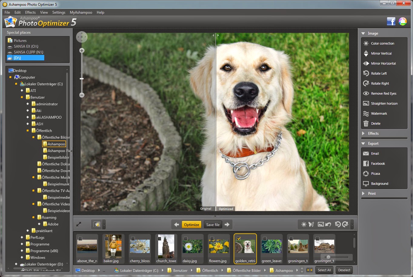 Ashampoo Photo Optimizer v6.08 Full Türkçe İndir