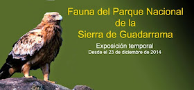 Exposición sobre el Parque del Guadarrama en el Museo Nacional de Ciencias Naturales