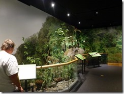 Riparian display