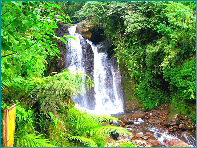 Akses Rute Curug Cipamingkis Jonggol Bogor