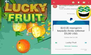 Bukti Withdraw Lucky Fruit Apk Penghasil Dollar Paypal