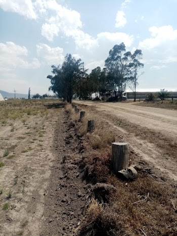 SE VENDEN TERRENOS EN METEPEC HIDALGO