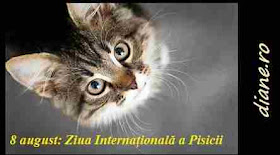 8 august: Ziua Internațională a Pisicii