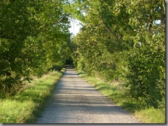 tredjevagen