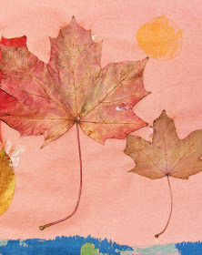 collage otoño