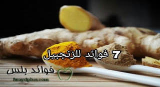 زنجبيل
