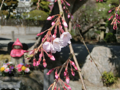  本覚寺