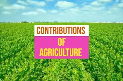 Contributions of agriculture to economic development