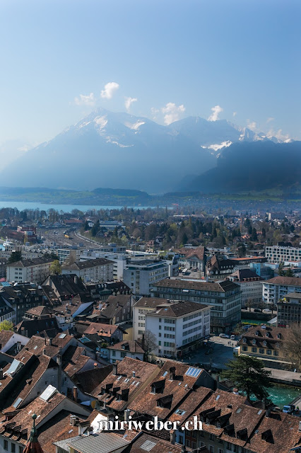 Schloss Thun, Thun,  Schweizer LittleCITY Guide, Heimat, Schweizer Stadt im Berner Oberland