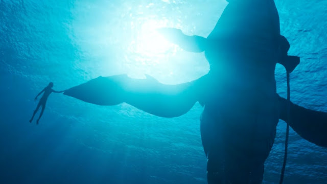 A boy swims next to a whale