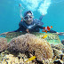 SNORKELING (SELAM PERMUKAAN) ATAU SELAM DANGKAL (SKIN DIVING) 