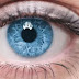 Iris (eye): definition, role and abnormalities