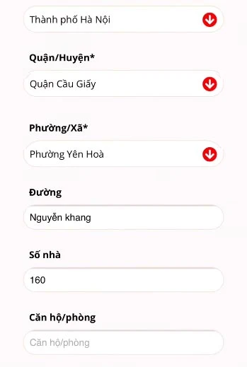 mượn tiền online